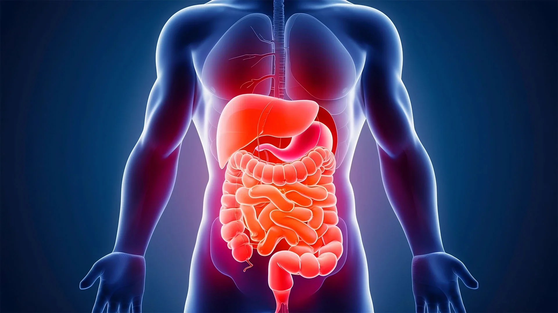 Gastroshiza: External Intestines and Abdominal Wall Defect