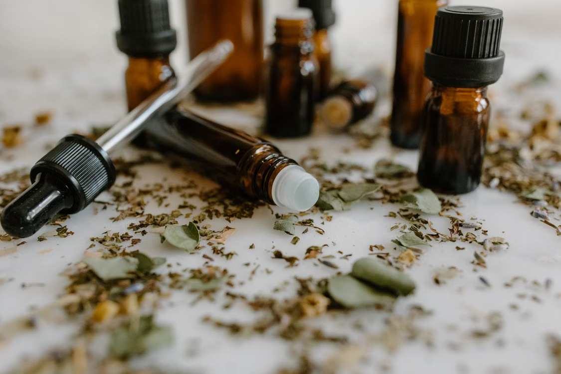 How Eucalyptus Aroma Therapy Can Transform Your Daily Self-Care Routine